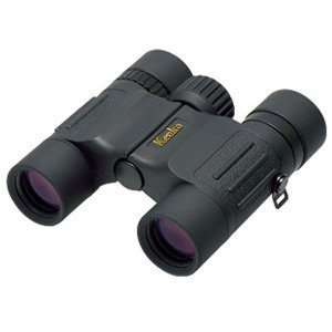  Kenko BN 100114 8x25DH Binocular