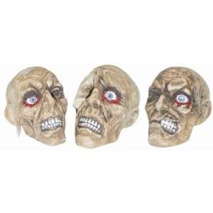   Rotten Haunted Skull Assortmen Lifesize Halloween Prop