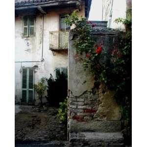  Crumbling Wall, Climbing Roses   Umbria