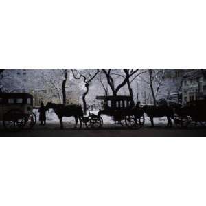  Silhouette of Horse Drawn Carriages, Chicago, Illinois 