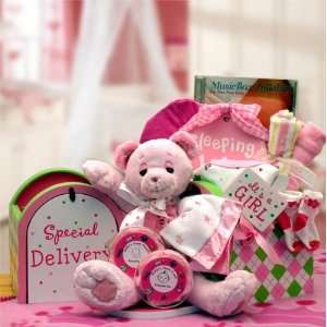  Gift Baskets Associates Special Delivery New Baby Girl 