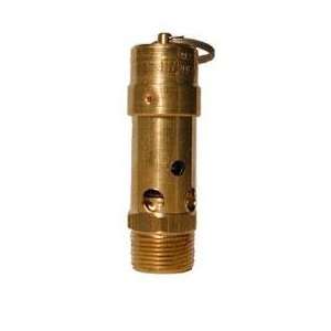   relief Valve 100 PSI American made 