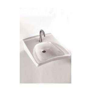   #12 Commercial Wheelchair Users Wall Mount Bathroom