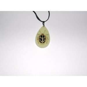  Glow in the dark Real Insect Necklace (YD0726) Everything 