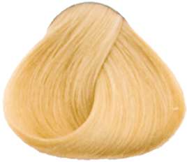 Goldwell Topchic Professional Hair Color (2.1 oz. tube)  10GB