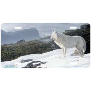 3508 Arctic Wolf Wolf License Plates Car Auto Novelty Front Tag by 