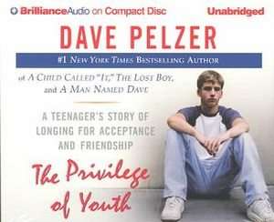 The Privilege Of Youth A Teenagers Sto