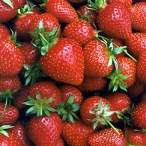  Everbearing Picnic Strawberry Seeds 20 Germination Tested 