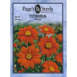  Tithonia, Mexican Sunflower Patio, Lawn & Garden