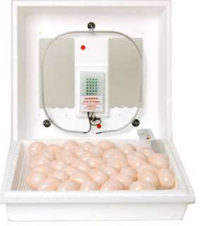 Miller 120V Durable Styrofoam Egg Incubator With Still Air 