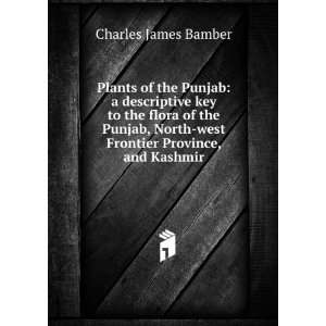   North west Frontier Province, and Kashmir Charles James Bamber Books