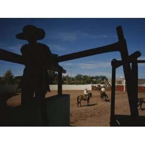  A Silhouetted Cowboy Watches Riders in a Ring Photographic 