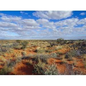  Fluffy Cloud Formations over a Vast Desert Scrub Plain 