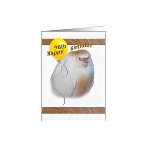  96th Birthday Card with Cattle Egret Card Toys & Games