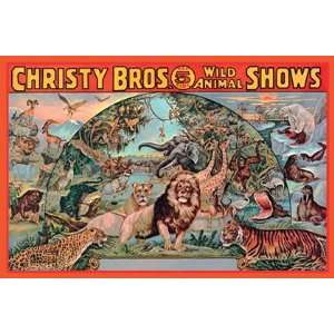  Christy Bros. 5 Ring Wild Animal Shows by Unknown 18x12 