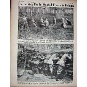  1915 WW1 Botha Troop Train Soldiers German Trench Woods 