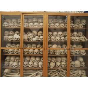 Human Skulls and Femurs Fill a Display Case at Nea Moni Monastery 