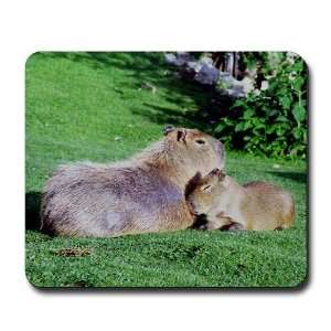  Capybara Snooze Art Mousepad by 
