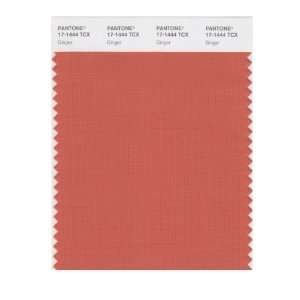  PANTONE SMART 17 1444X Color Swatch Card, Ginger
