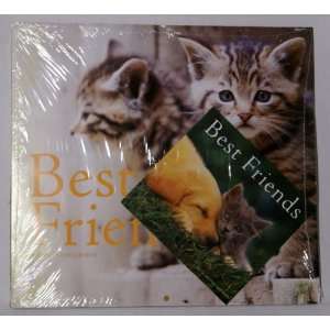  Kittens 2012 16 Month Calendar +Bonus