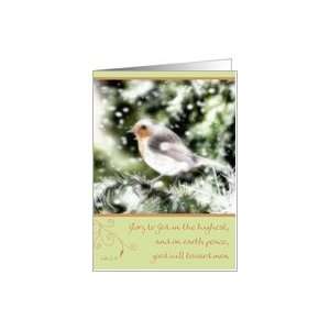  luke 214 robin snowflakes winterscape Card Health 