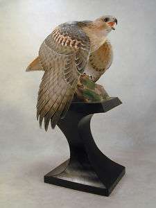 Red tailed Hawk Original Wood Carving  