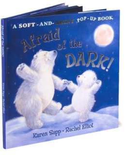   Afraid of the Dark by Karen Sapp, Sterling
