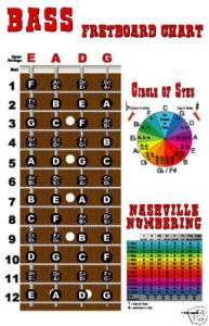 String Bass Fretboard Instructional Chart Poster LOOK  