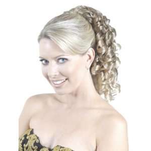  Reversible Spiral Curl Butterfly Comb Hairpiece Beauty