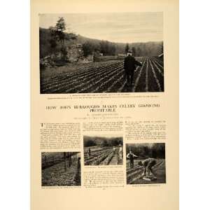   Farm Profit Agriculture   Original Print Article