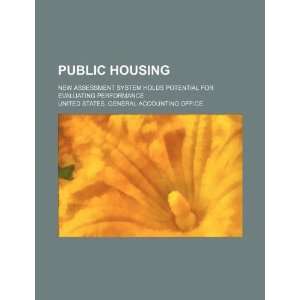  Public housing new assessment system holds potential for 