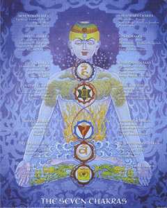 Seven 7 Chakras Poster locations definitions LG  