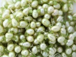 Wholesale Lot of 7.0mm 9.0mm Green Freshwater Pearls  
