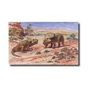   Protoceratops Were Egglaying Dinosaurs Giclee Print