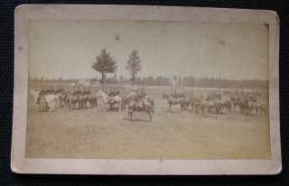 1st Brig New Hampshire N.G. Cavalry Boudoir Photograph  