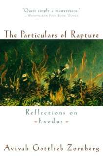 the particulars of rapture avivah gottlieb zornberg paperback $ 15