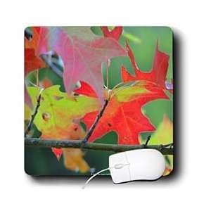   Leaves   Autumn Leaves Transition Green Red   Mouse Pads Electronics
