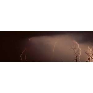  Forked Lightning Striking over a Field by Panoramic Images 