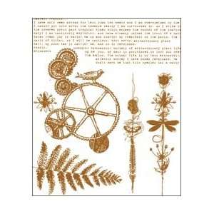  Prima Flowers Botanical Clear Stamps; 6 Items/Order Arts 