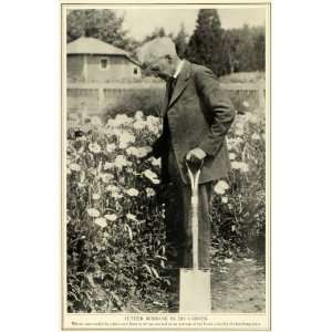  1923 Print Luther Burbank Garden Shovel Plant Variety 