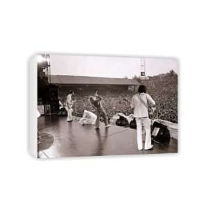  The Who in Concert   Canvas   Medium   30x45cm