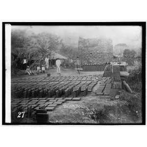  Photo Brick yard, Santa Ana, Salvador, C.A.; Chas. M 