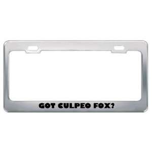 Got Culpeo Fox? Animals Pets Metal License Plate Frame Holder Border 