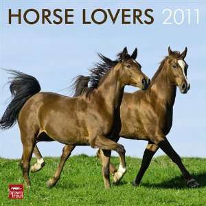  2011 Animal Calendars Horse Lovers   12 Month   30x30cm 