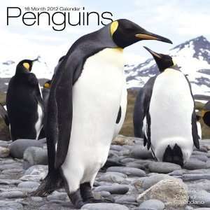  Penguins 2012 Wall Calendar 12 X 12