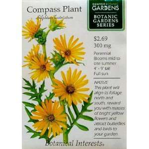  Botanic Gardens Series Compass Plant Seeds 10 Seeds Patio 