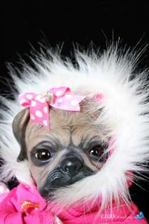 HBN* PROTOTYPE OOAK Reborn Baby PUG PUPPY DOG Denise Pratt   Princess 