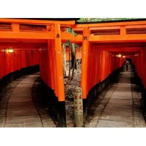  Torri Gates Lining Mountain Pathways at Fushimi Inari 