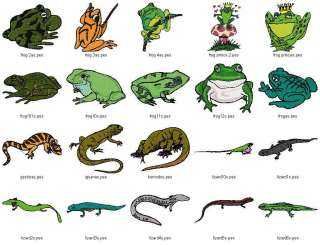 Frogs, Reptiles & More Vol.5
