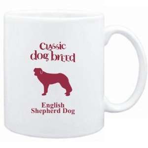    Classic Dog Breed English Shepherd Dog  Dogs